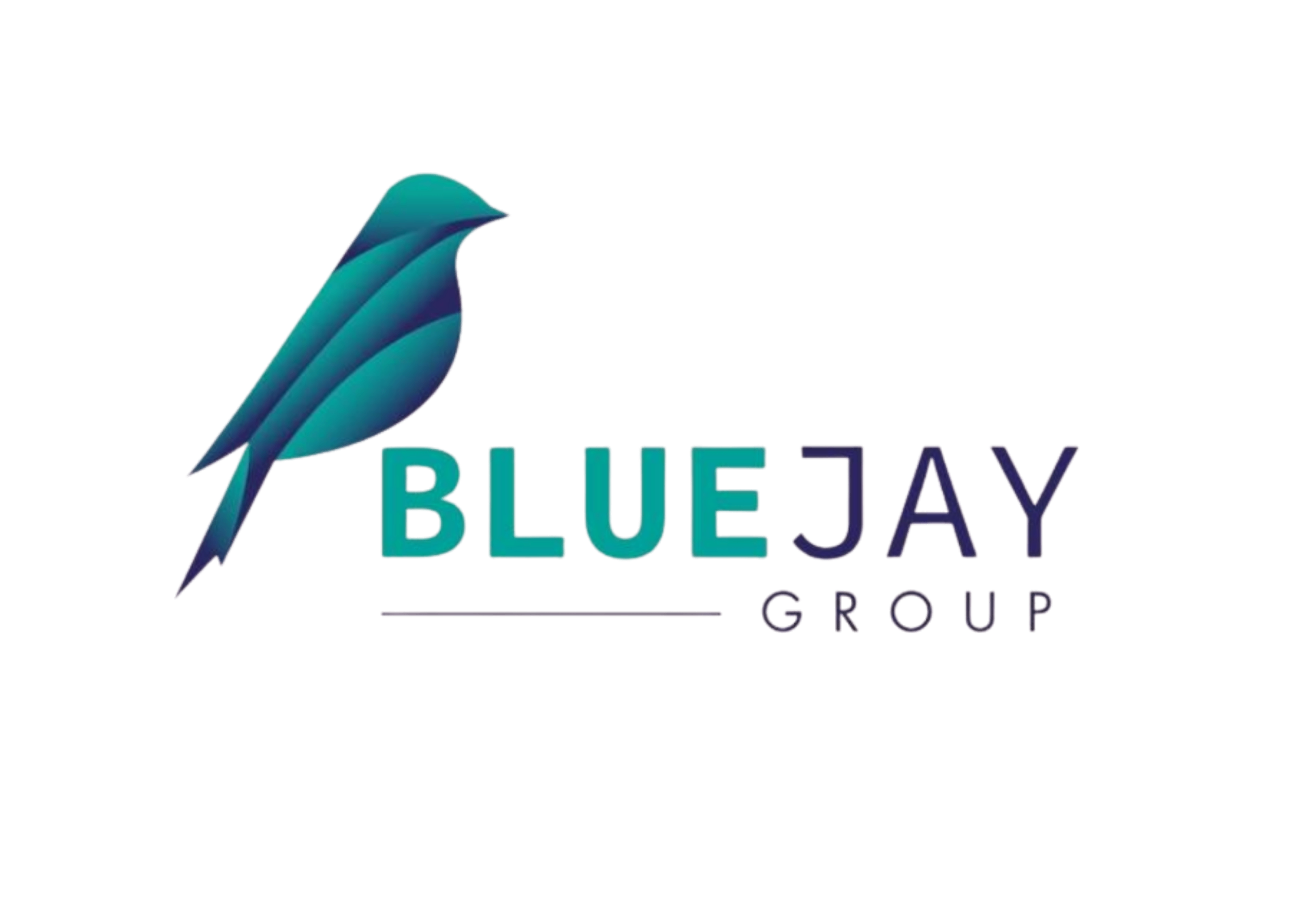 Blue Jay Designs